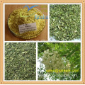 Manufacturer Supply Herbal Extract 98% Quercetin,Sophora Japonica Extract